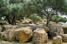 Sizilien (203 von 565).jpg